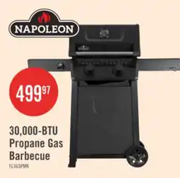 The Brick Napoleon 365 30,000-BTU 2-Burner Propane Gas Grill - FL365PMK-1 offer