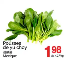T&T Supermarket POUSSES DE YU CHOY offer