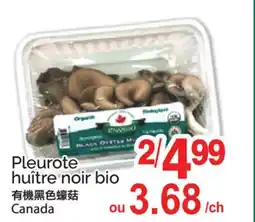 T&T Supermarket PLEUROTE HUÎTRE NOIR BIO offer