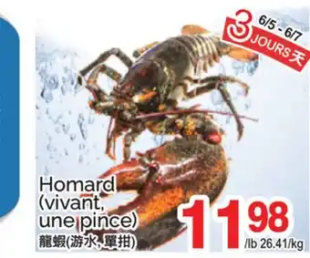 T&T Supermarket HOMARD offer