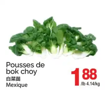 T&T Supermarket POUSSES DE BOK CHOY offer
