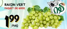 Marche Salaberry RAISIN VERT offer