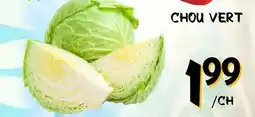 Marche Salaberry CHOU VERT offer
