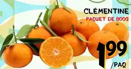 Marche Salaberry CLÉMENTINE offer
