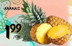 Marche Salaberry ANANAS offer