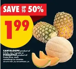 No Frills Cantaloupe or pineapple offer