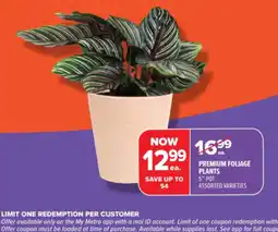 Metro Premium foliage plants offer