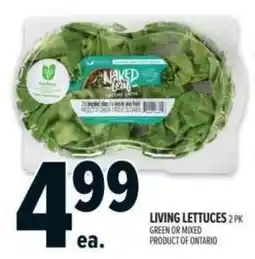 Metro Living lettuces offer