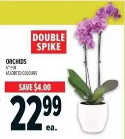 Metro Orchids offer