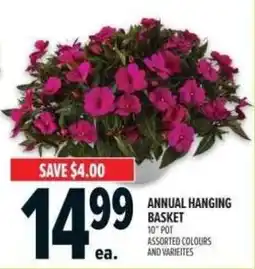 Metro Annual hanging basket offer