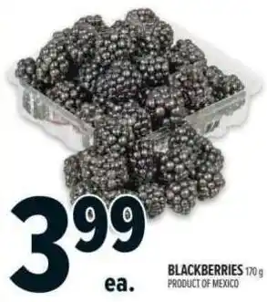 Metro Blackberries offer