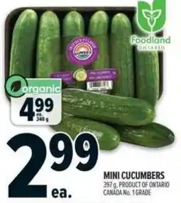 Metro Mini cucumbers offer