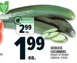 Metro Seedless cucumbers offer