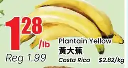 Terra Foodmart Plantain Yellow offer