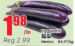 Terra Foodmart Eggplant offer