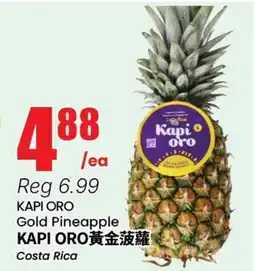 Terra Foodmart KAPI ORO Gold Pineapple offer