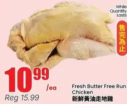 Terra Foodmart Fresh Butter Free Run Chicken offer