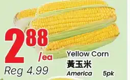 Terra Foodmart Yellow Corn offer