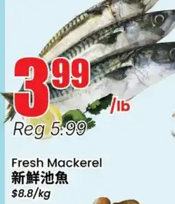Terra Foodmart Fresh Mackerel offer