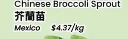 Terra Foodmart Chinese Broccoli Sprout offer