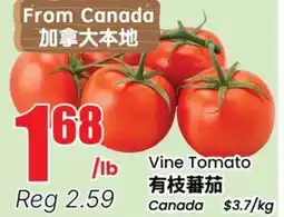 Terra Foodmart Vine Tomato offer
