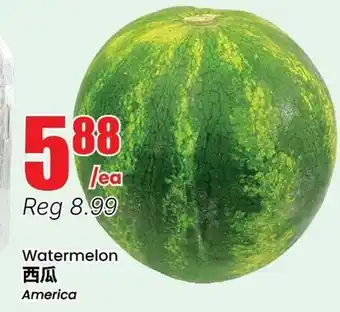 Terra Foodmart Watermelon offer
