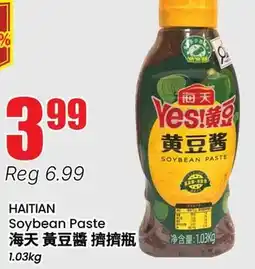 Terra Foodmart HAITIAN Soybean Paste offer
