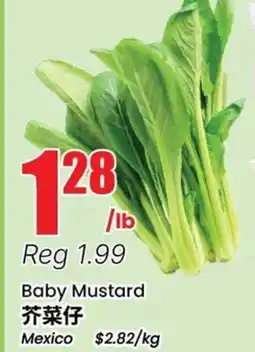 Terra Foodmart Baby Mustard offer