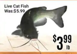 Nations Fresh Foods Live Cat Fish offer
