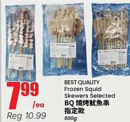 Terra Foodmart BEST QUALITY Frozen Squid Skewers Selected offer