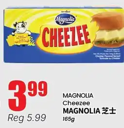 Terra Foodmart MAGNOLIA Cheezee offer