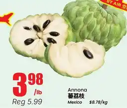 Terra Foodmart Annona offer