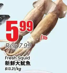 Terra Foodmart Fresh Squid offer