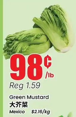 Terra Foodmart Green Mustard offer
