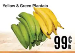 Nations Fresh Foods Yellow & Green Plantain offer