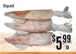 Nations Fresh Foods Squid offer