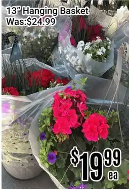 Nations Fresh Foods 13 Hanging Basket offer