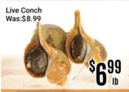 Nations Fresh Foods Live Conch offer
