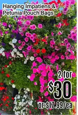 Nations Fresh Foods Hanging Impatiens & Petunia Pouch Bags offer