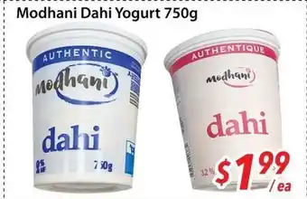 Bestco Food Mart Modhani Dahi Yogurt offer