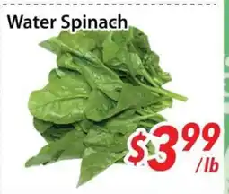 Bestco Food Mart Water Spinach offer