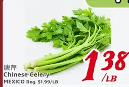 United Supermarket Chinese Celery offer