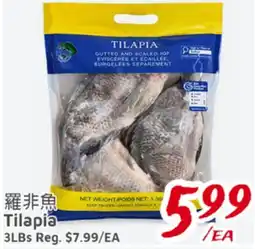 United Supermarket Tilapia offer