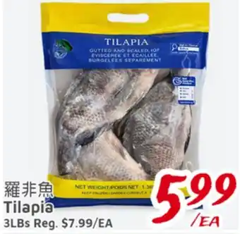 United Supermarket Tilapia offer