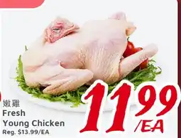 United Supermarket Fresh Young Chicken offer