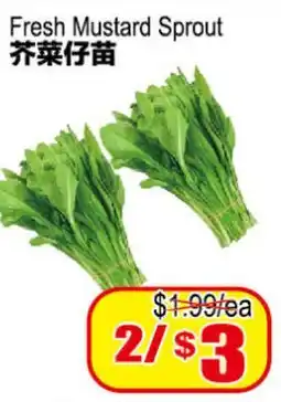 Yuan Ming Supermarket Fresh Mustard Sprout offer
