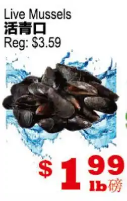 Yuan Ming Supermarket Live Mussels offer