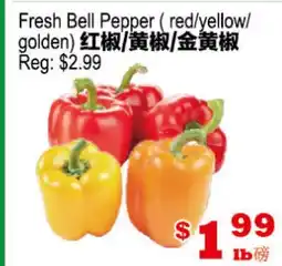 Yuan Ming Supermarket Fresh Bell Pepper ( red/yellow/golden) offer
