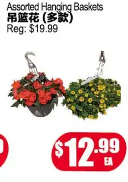 Yuan Ming Supermarket Assorted Hanging Baskets offer