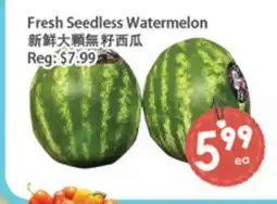Fresh Palace Supermarket Fresh Seedless Watermelon offer